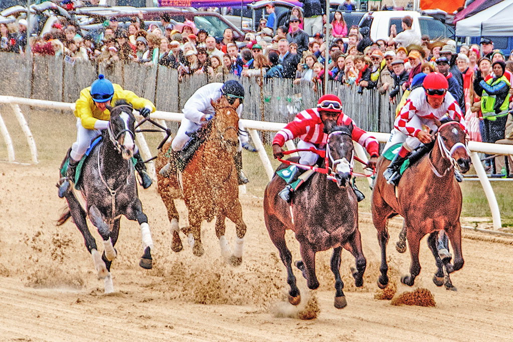 Aiken Trials – Aiken Training Track
